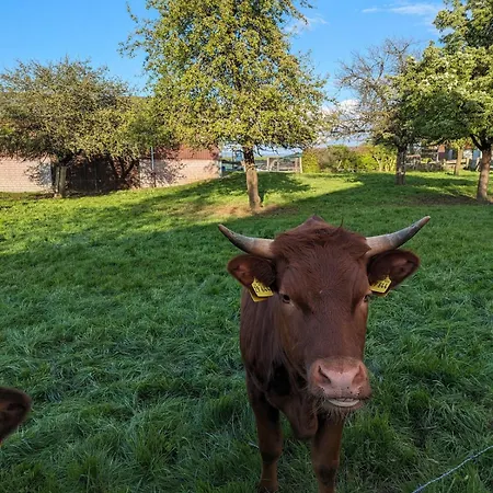 Apartmán Seeling Weserbergland Ottenstein