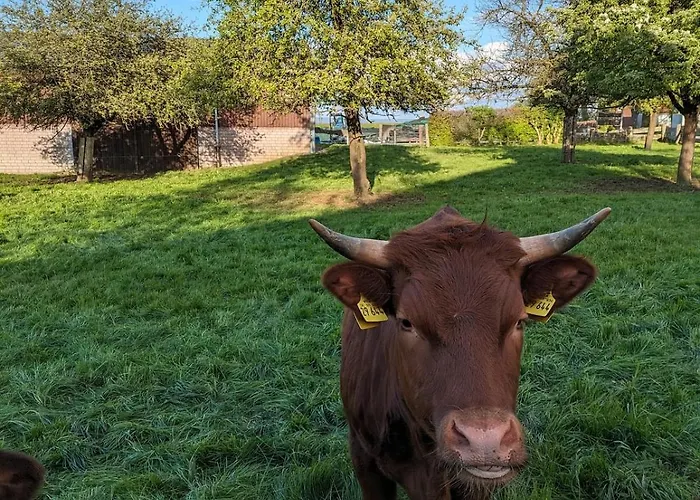 Апартаменты Seeling Weserbergland Ottenstein